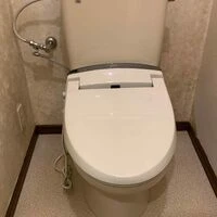 toiler(before)